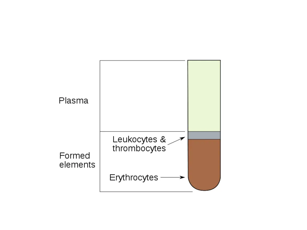 file illu blood components svg