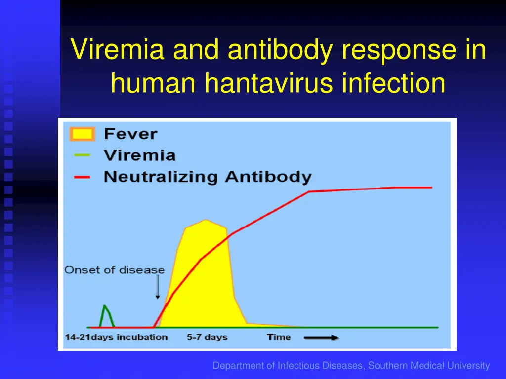 viremia and antibody response in human hantavirus