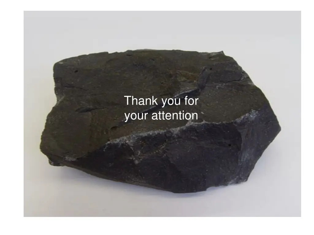 thank you for your attention