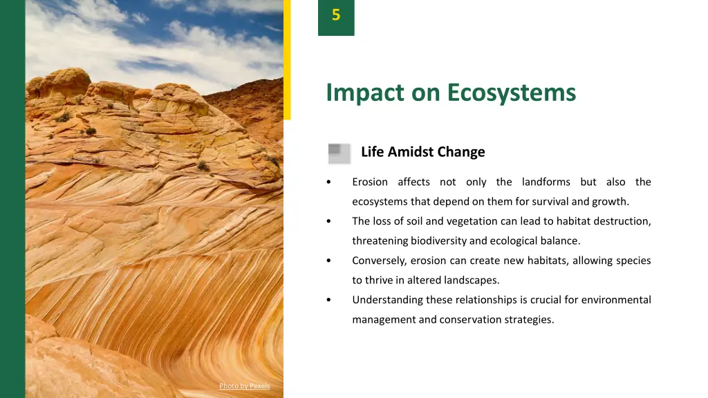 slide7