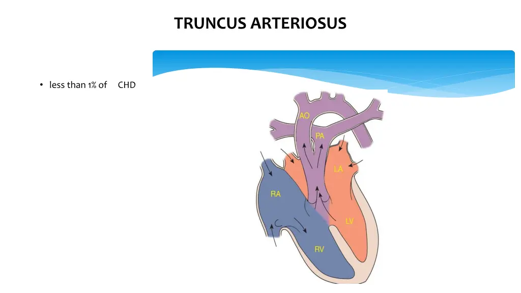 truncus arteriosus