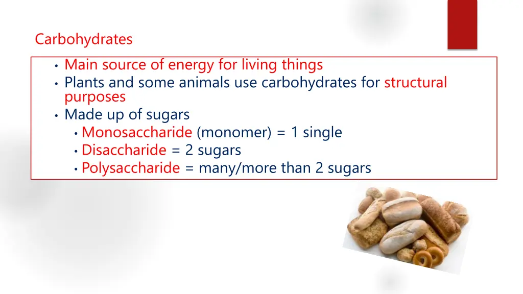 carbohydrates
