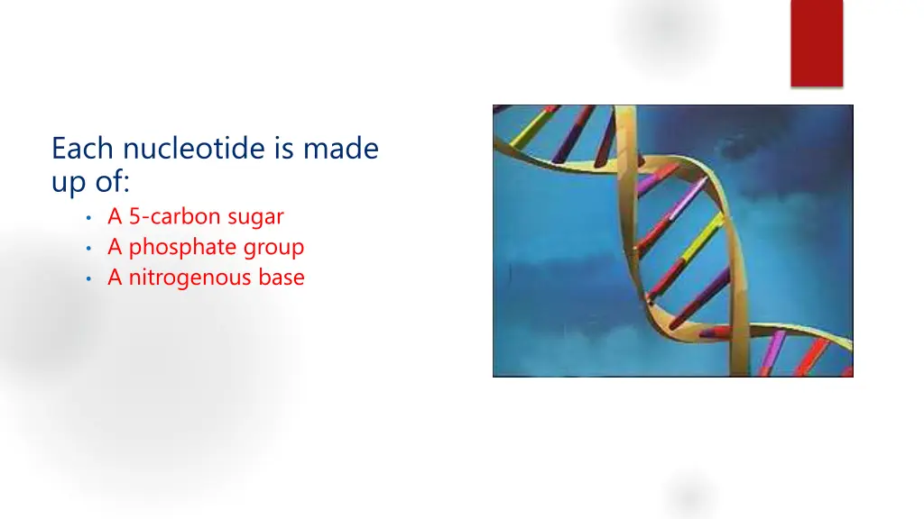 each nucleotide is made up of a 5 carbon sugar