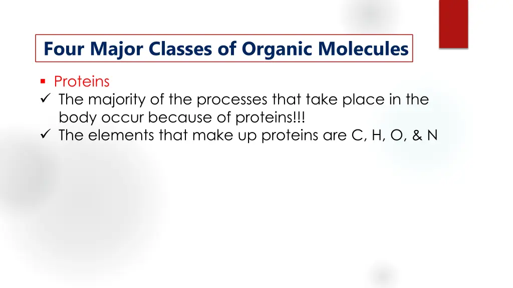 four major classes of organic molecules