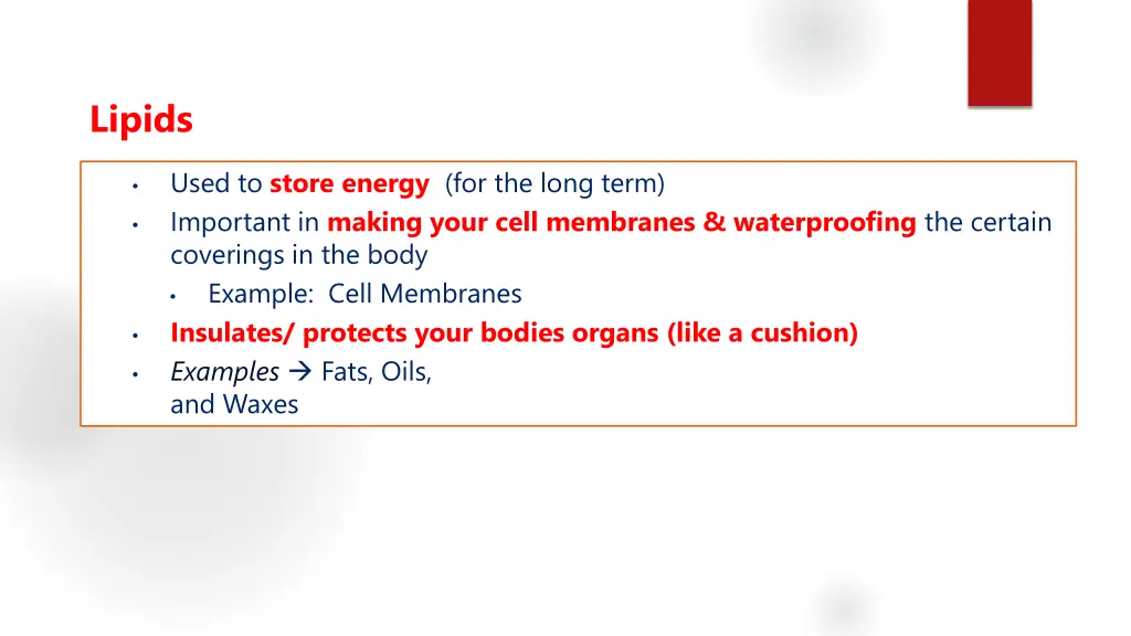lipids