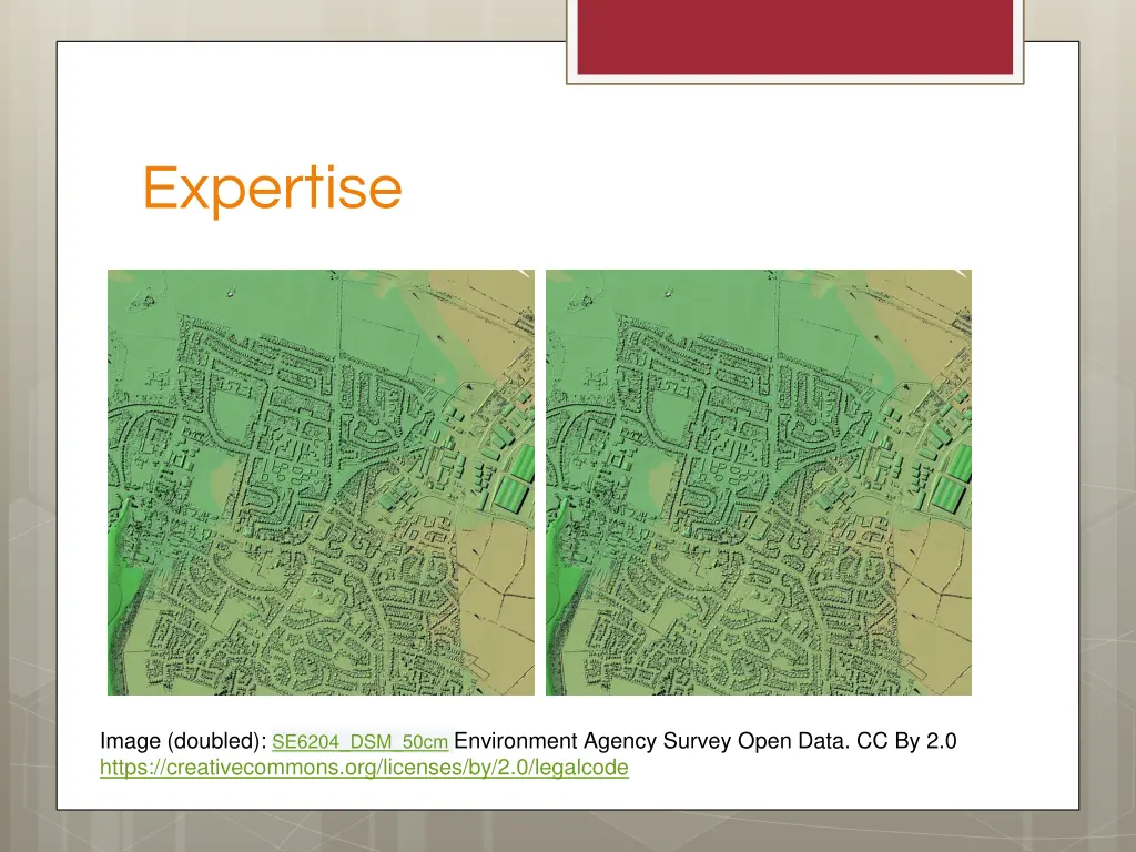 expertise