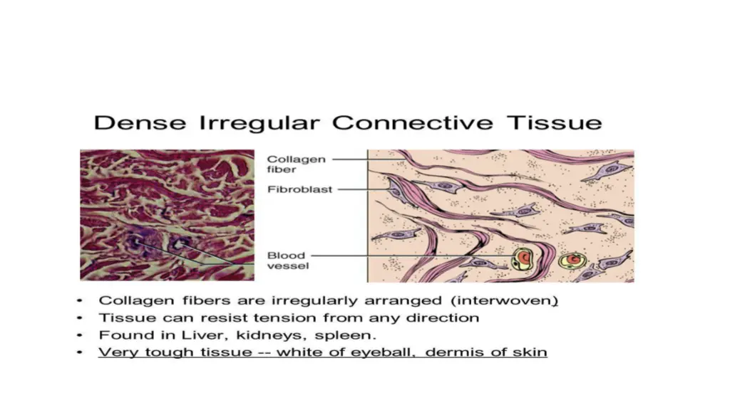 related image 1
