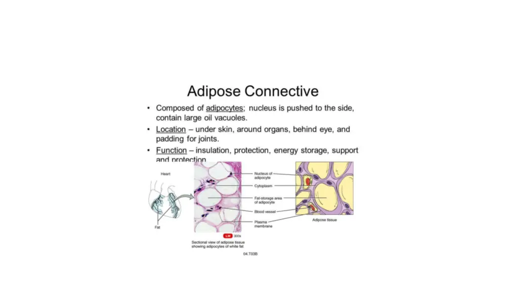 related image