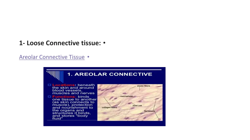 slide12