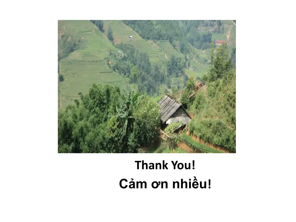 thank you c m n nhi u