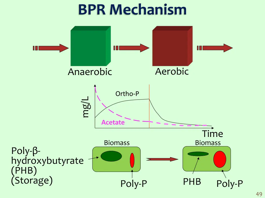 aerobic