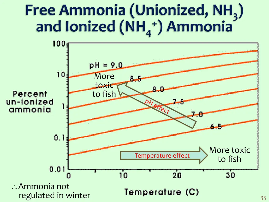 more toxic to fish