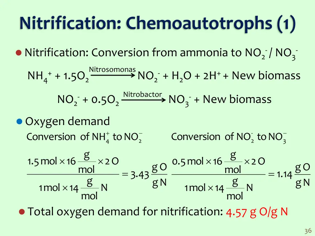 nitrification conversion from ammonia to no 2 no 3