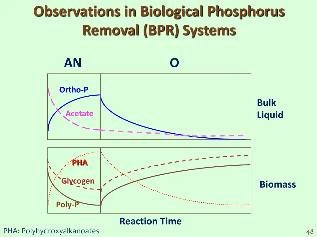 observations in biological phosphorus removal