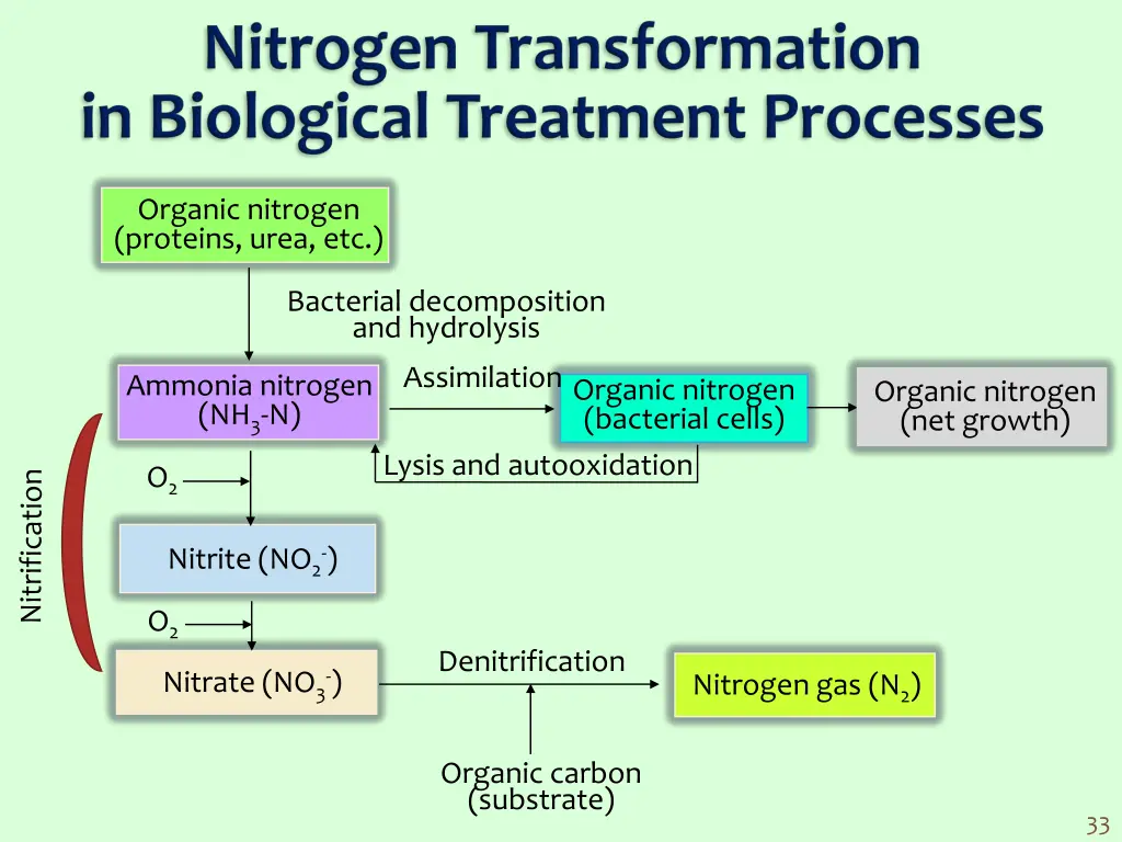 organic nitrogen proteins urea etc
