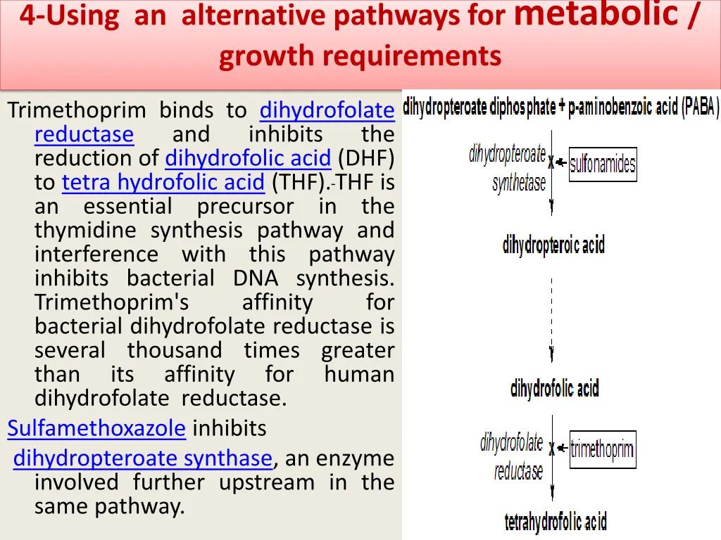 4 using an alternative pathways for metabolic