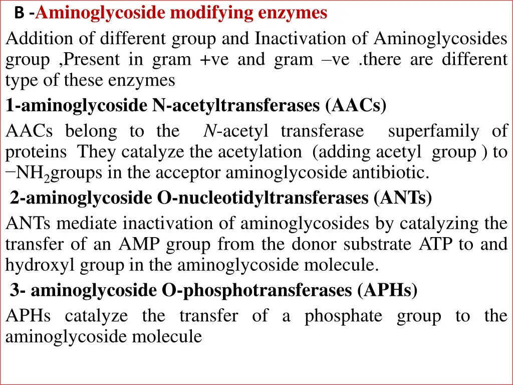 b aminoglycoside modifying enzymes addition