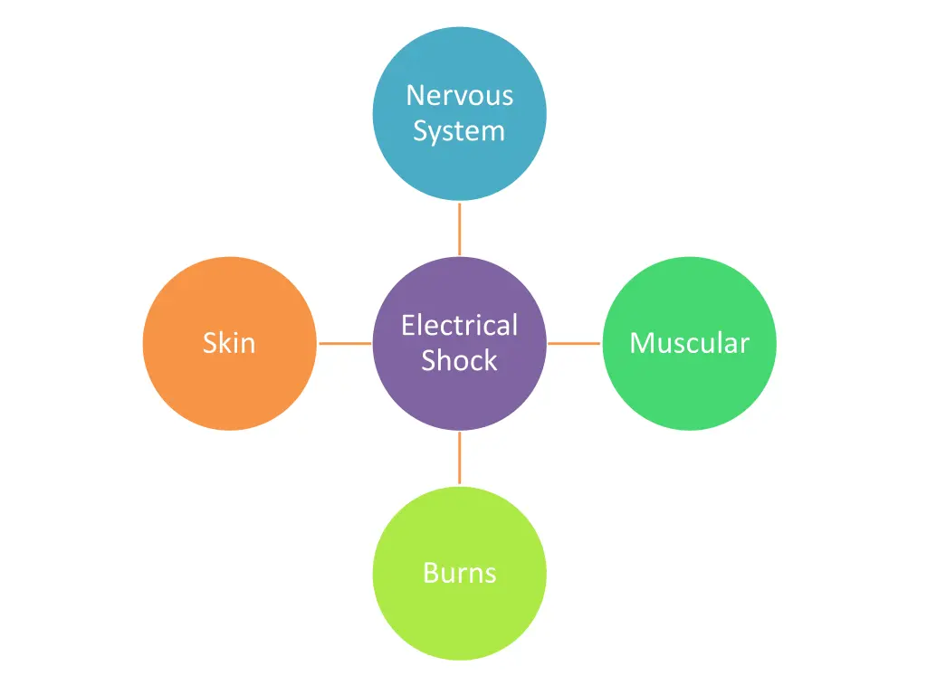 nervous system