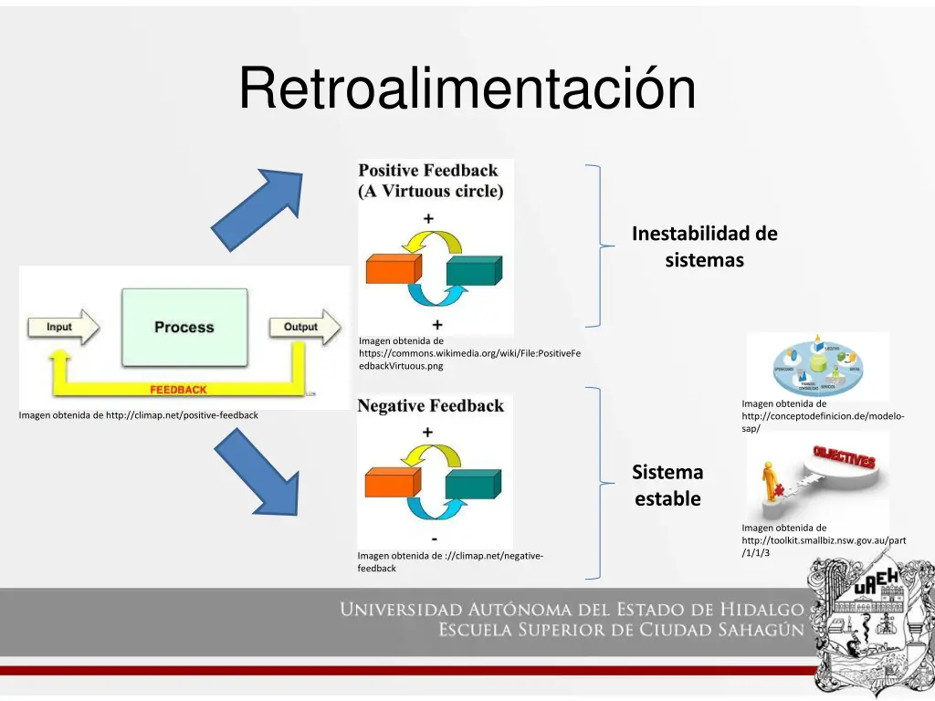 retroalimentaci n