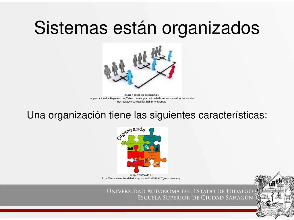 sistemas est n organizados 2