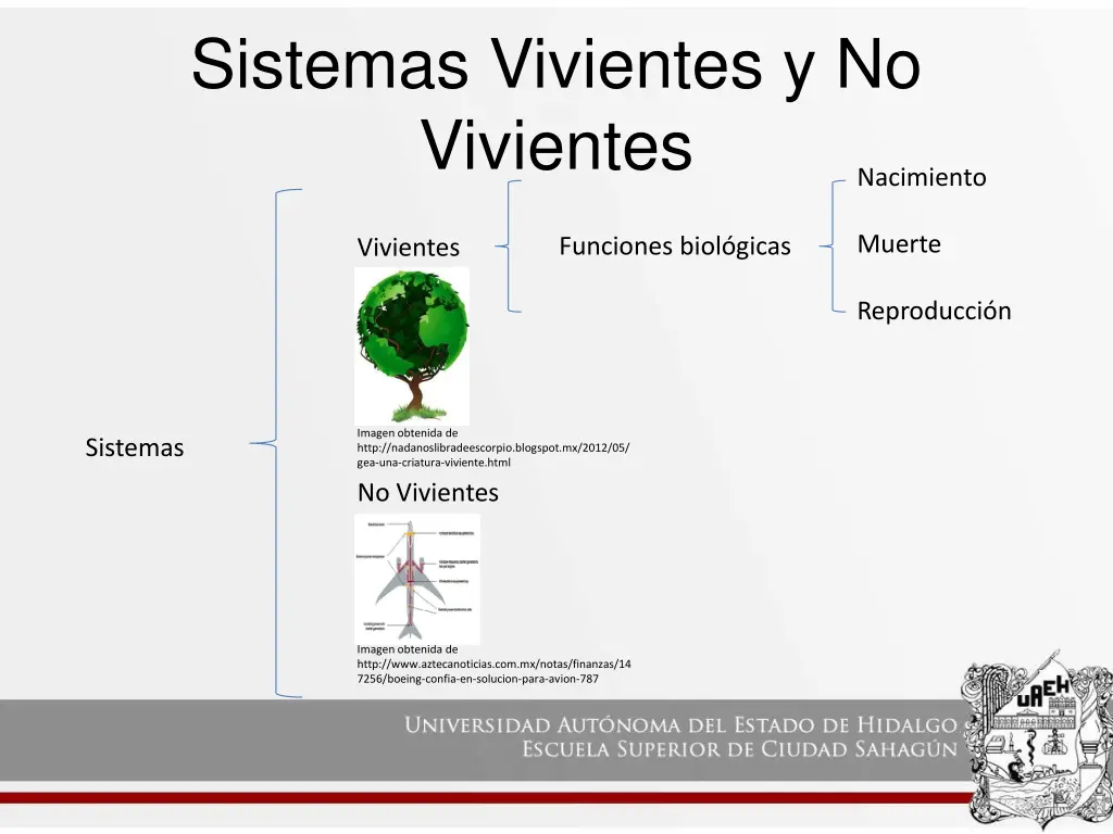 sistemas vivientes y no vivientes