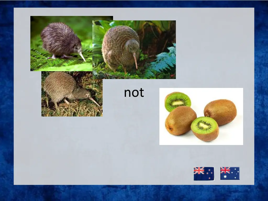 slide4