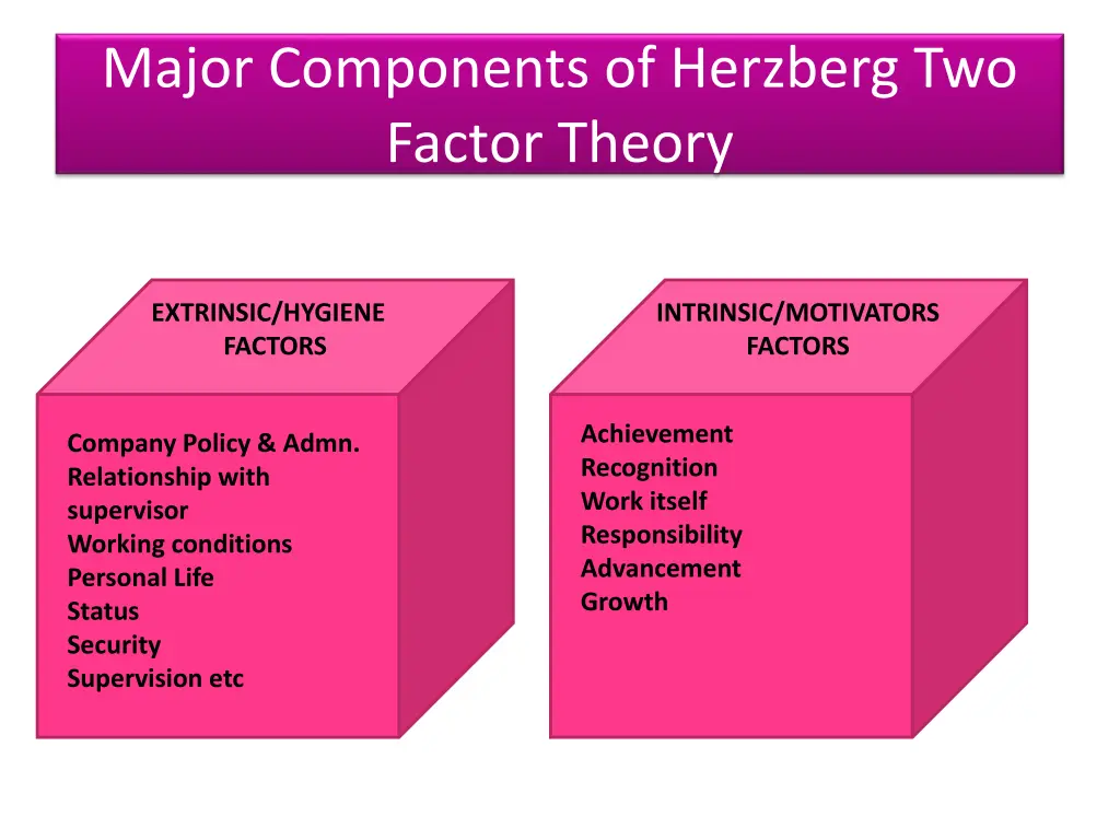 major components of herzberg two factor theory