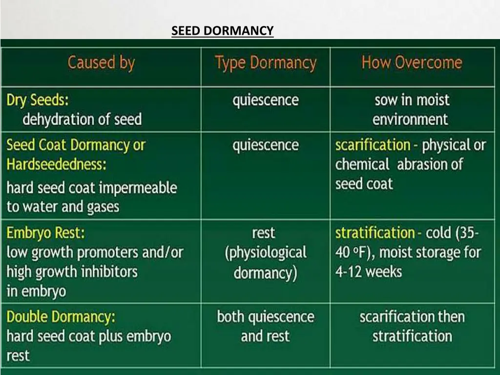 seed dormancy