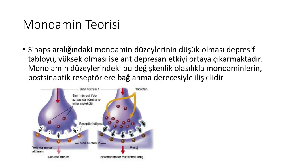 monoamin teorisi