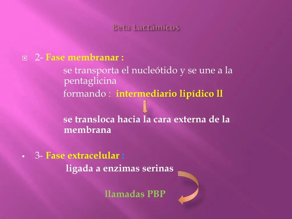2 fase membranar se transporta el nucle tido