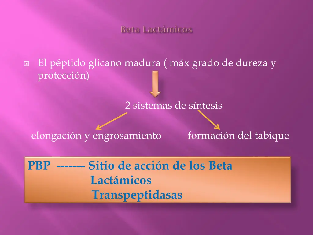 el p ptido glicano madura m x grado de dureza