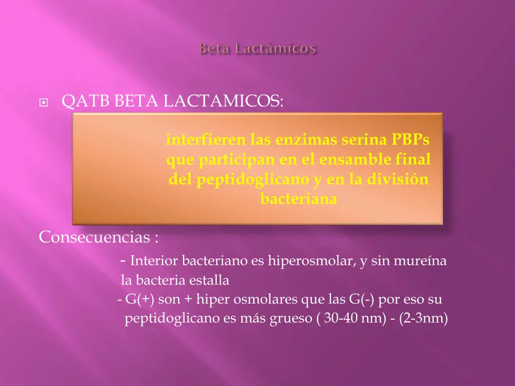 qatb beta lactamicos