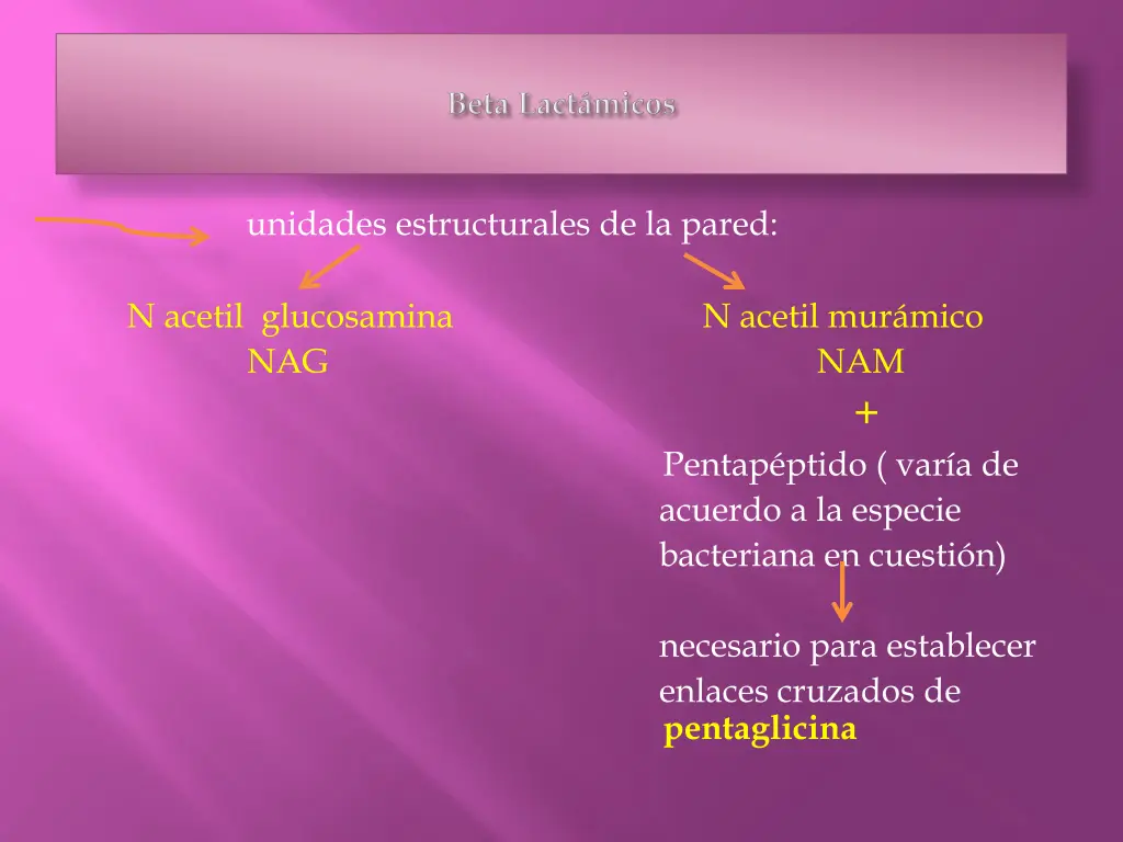 unidades estructurales de la pared