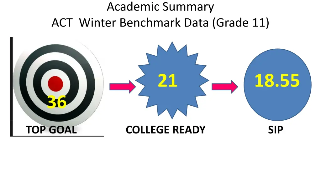 academic summary