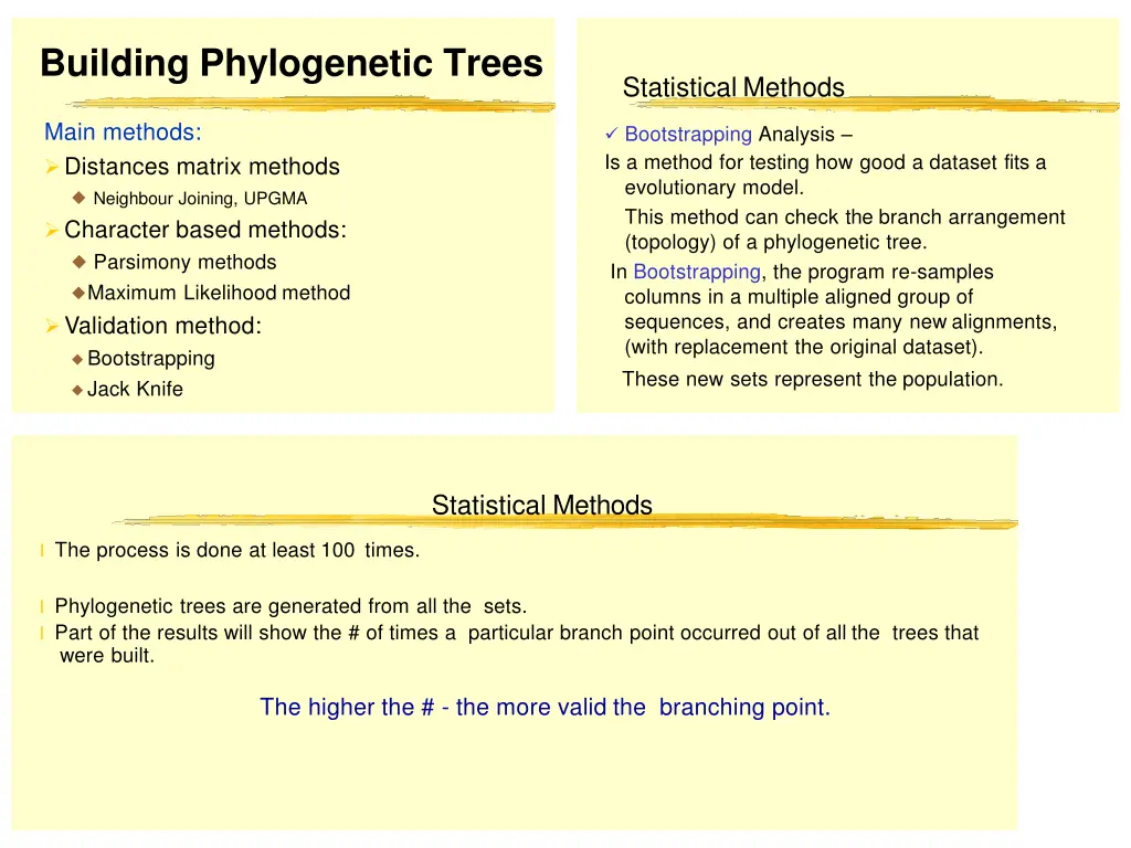 building phylogenetic trees