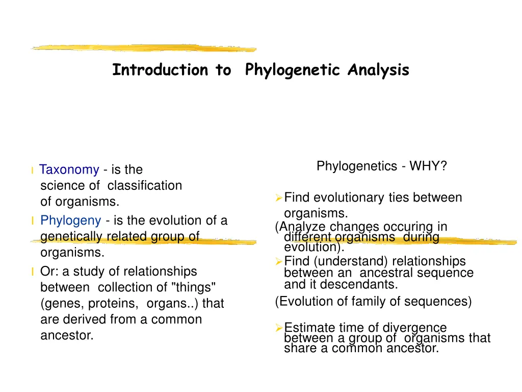 introduction to phylogenetic analysis