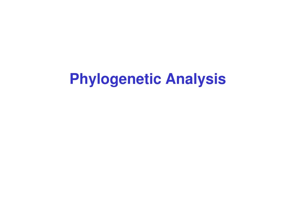 phylogenetic analysis