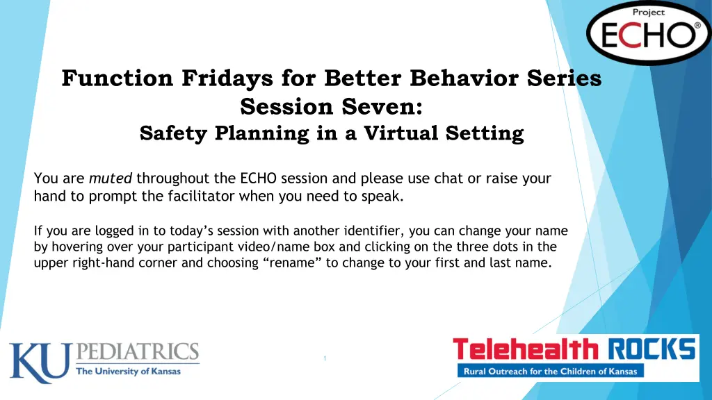 function fridays for better behavior series