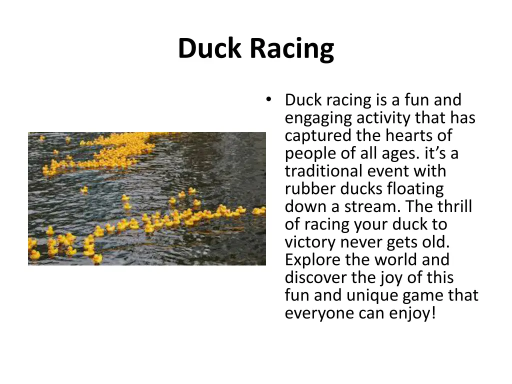duck racing