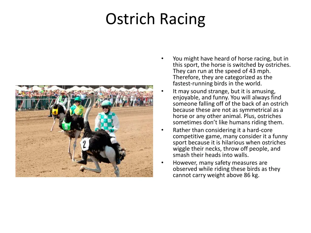 ostrich racing