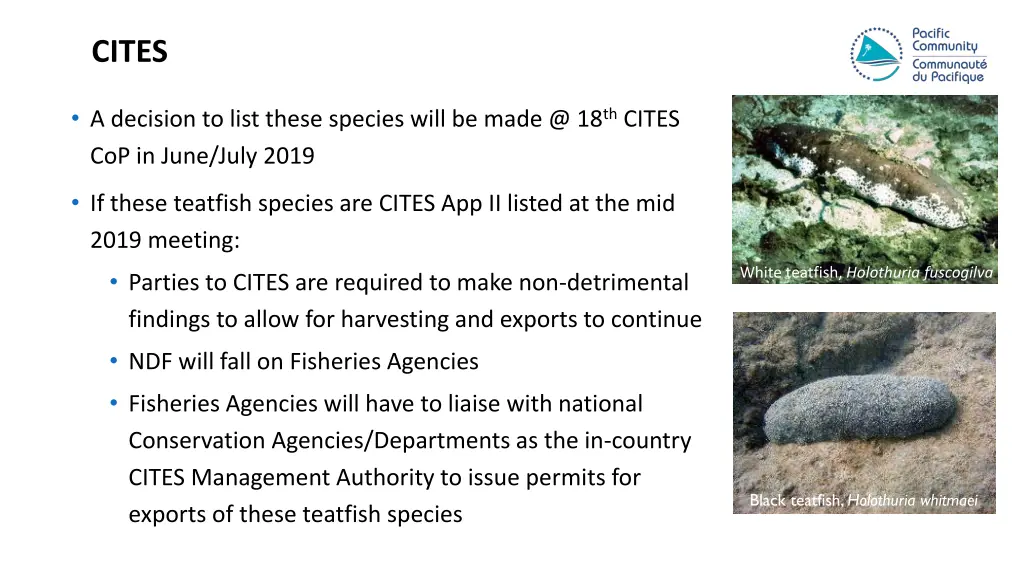 cites 1
