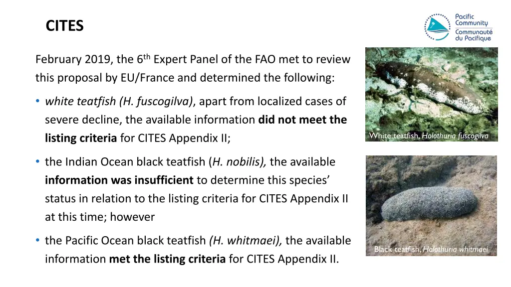 cites