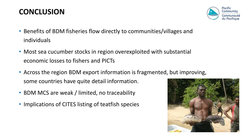 conclusion 1