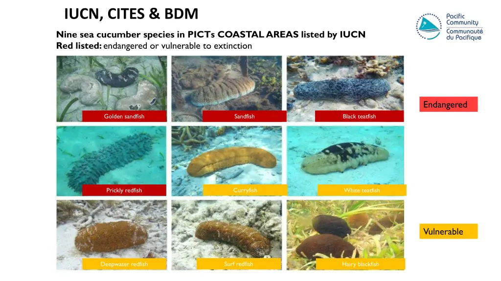 iucn cites bdm