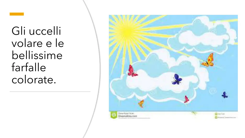 gli uccelli volare e le bellissime farfalle