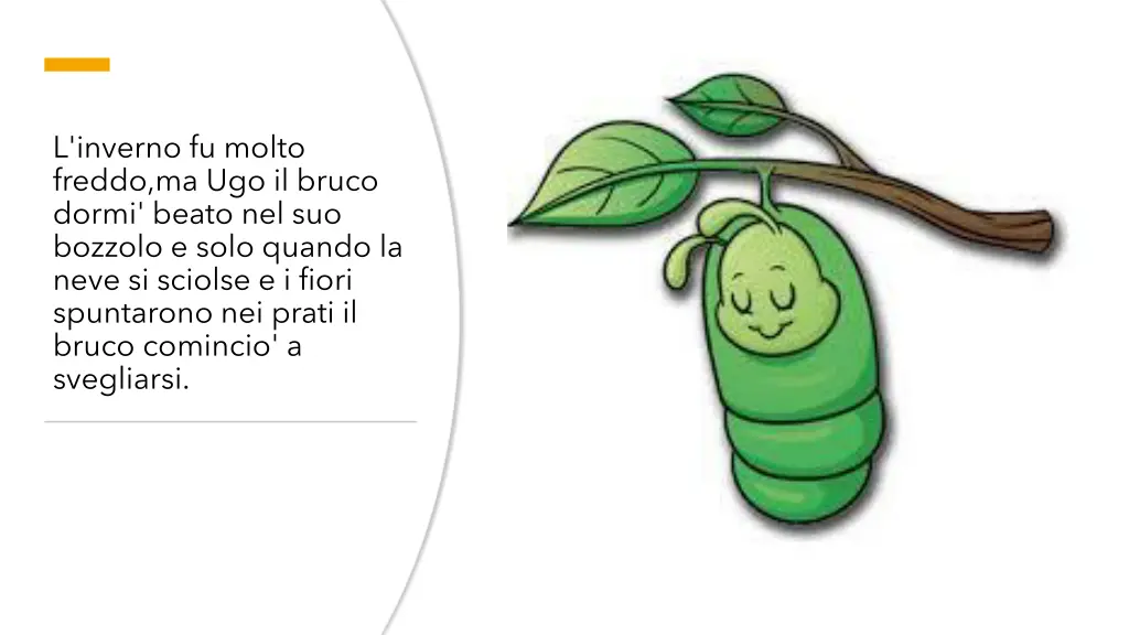 l inverno fu molto freddo ma ugo il bruco dormi