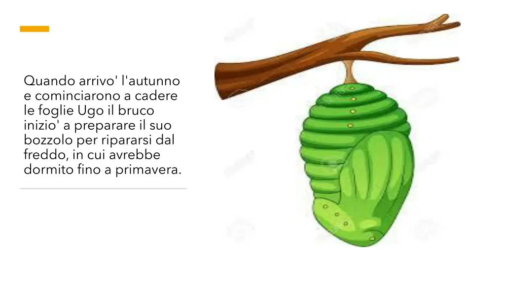 quando arrivo l autunno e cominciarono a cadere