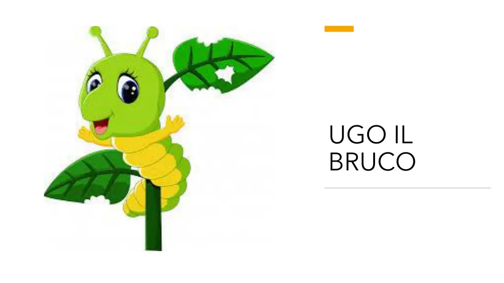 ugo il bruco
