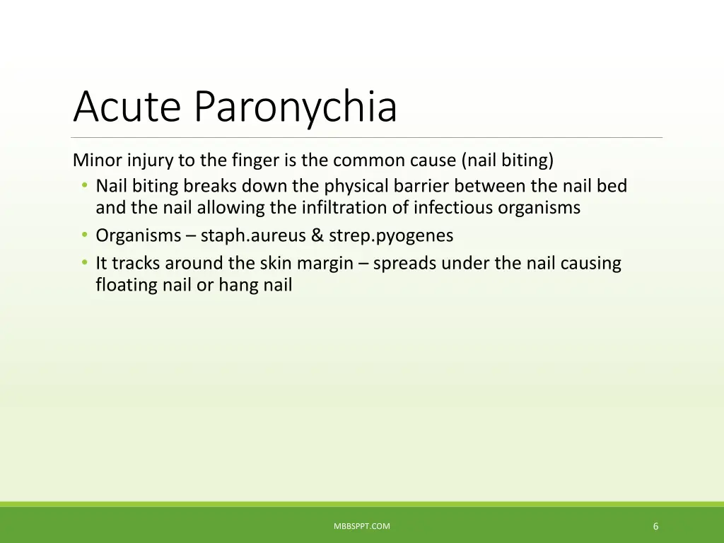 acute paronychia
