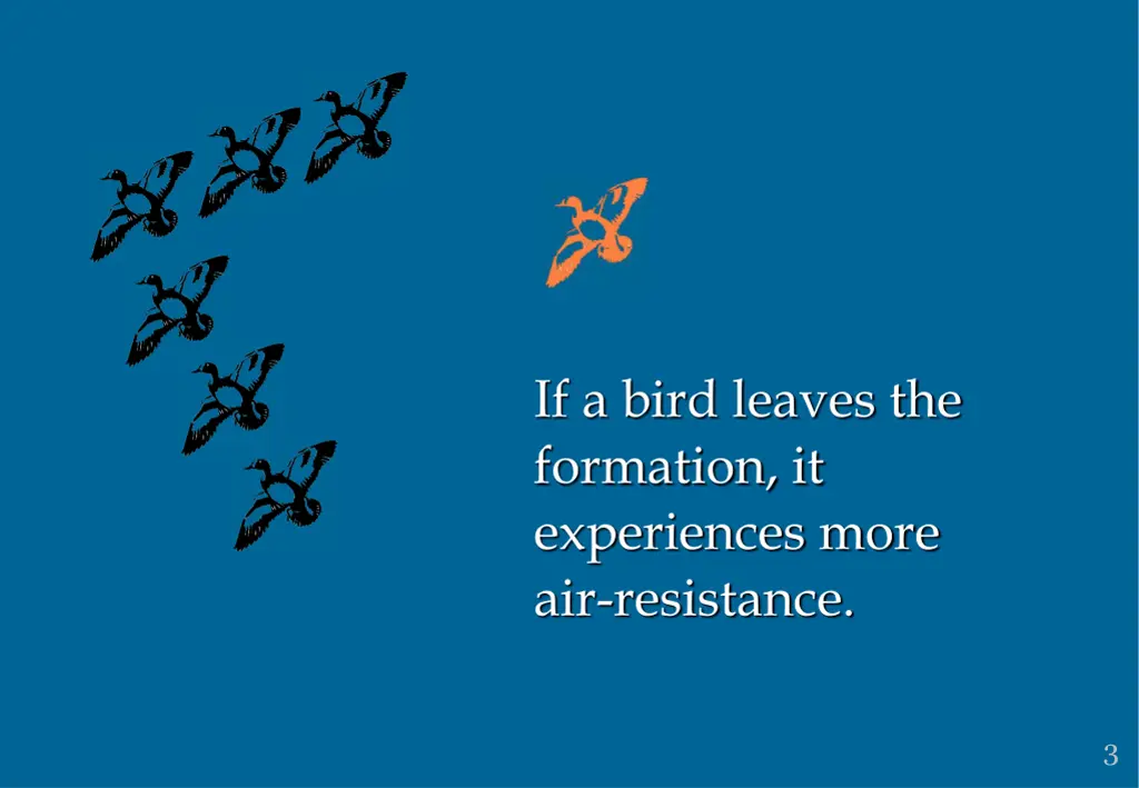 if a bird leaves the formation it experiences